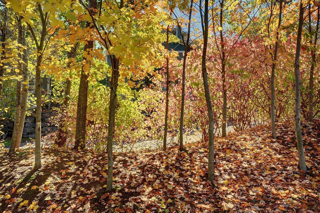Jardin Du Village By Chez Tremblant Mont-Tremblant Zimmer foto