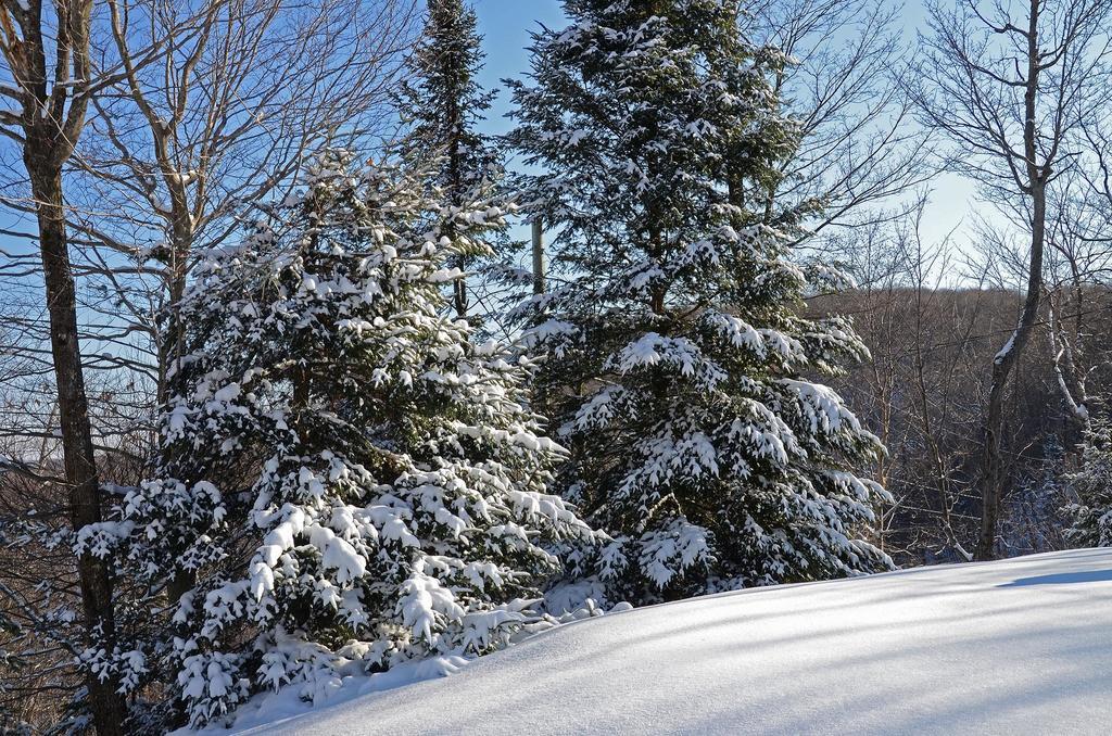 Jardin Du Village By Chez Tremblant Mont-Tremblant Zimmer foto